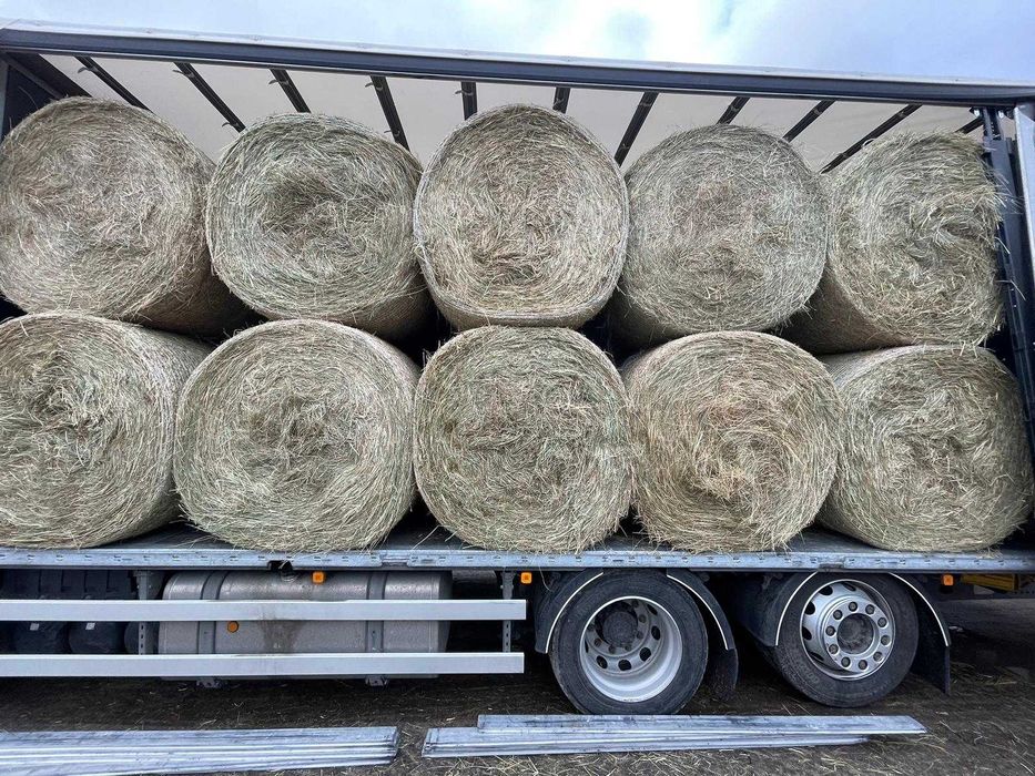 SIANO , SŁOMA    -suche, magazynowane, TRANSPORT W CENIE