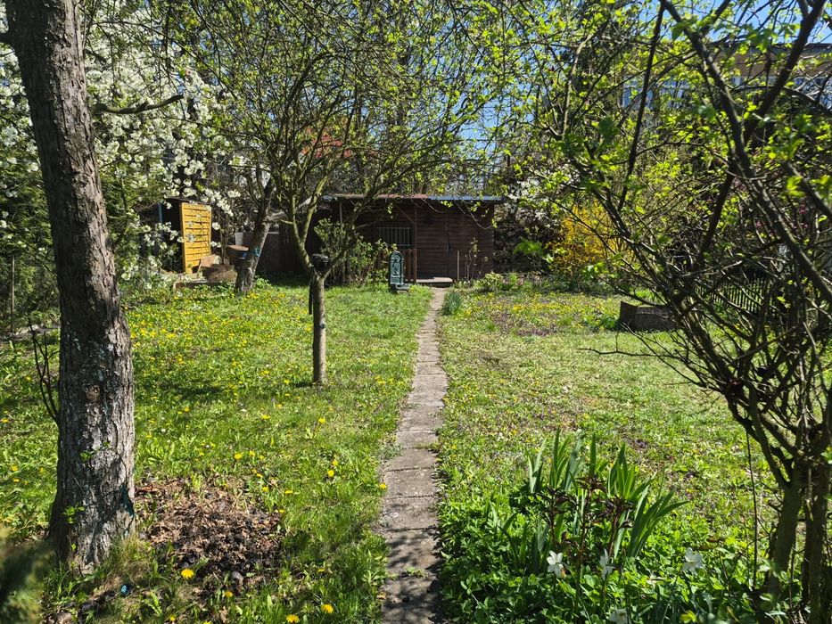 Działka rod w super lokalizacji– przy parku! 210 m² | ALTANA | WODA | PRĄD