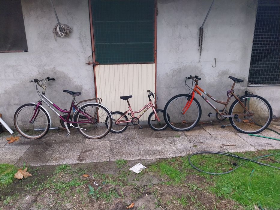 Bicicletas senhora