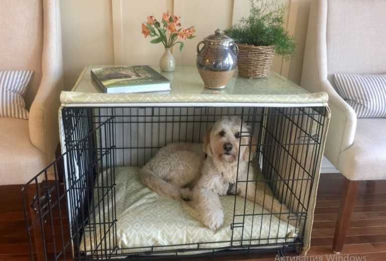 Клітка, клетка №3,4,5,6,7 для собак кошек птиц переноска Різні розміри