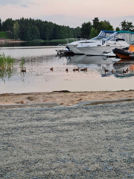 Wolny domek Boże Ciało - 04-07.06