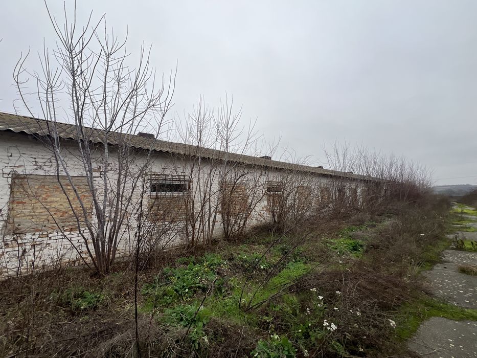 Нежитлові приміщення, комерційного призначення, ферми