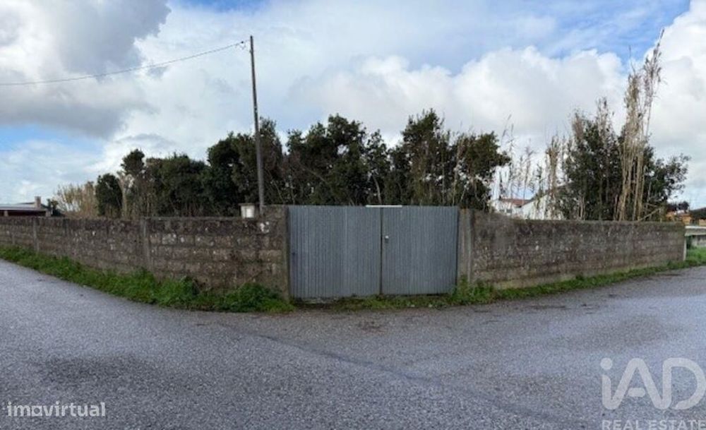 Terreno em Monte Real e Carvide