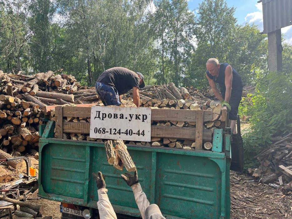 Продам дрова колотые Чернигов недорого дуб акация сосна берёза