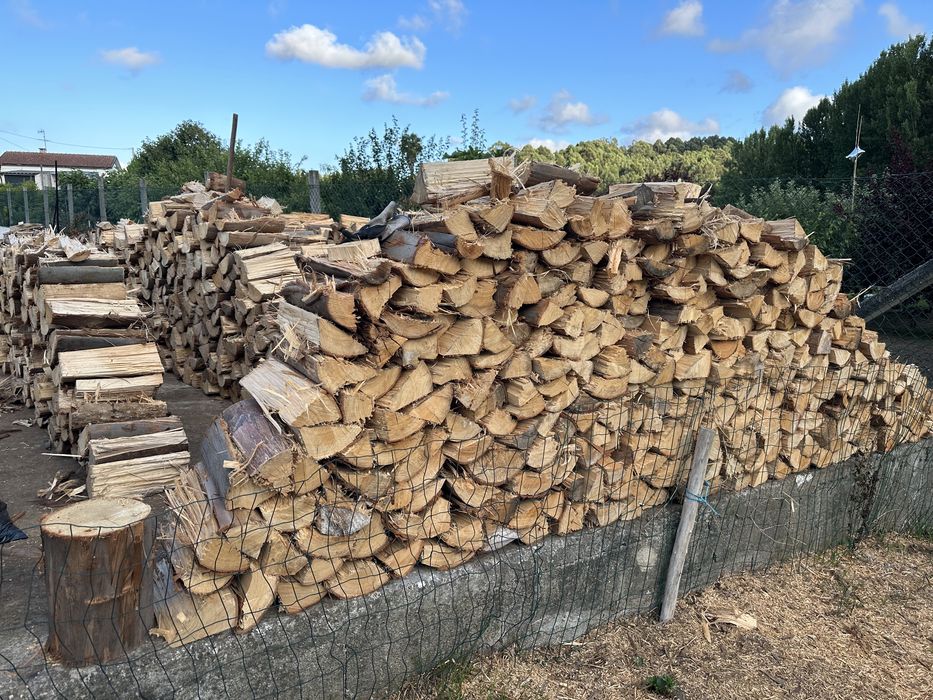 Lenha eucalipto seca