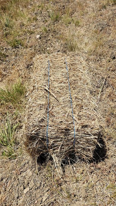 Fardos feno pequenos 2025