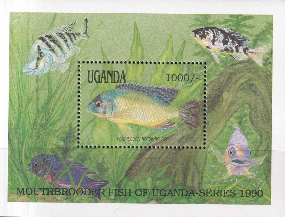 Uganda 1991 cena 6,50 zł kat.8€ - fauna, ryby