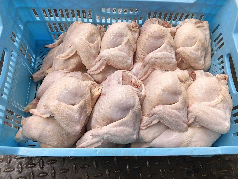 Тушка куряча охолоджена