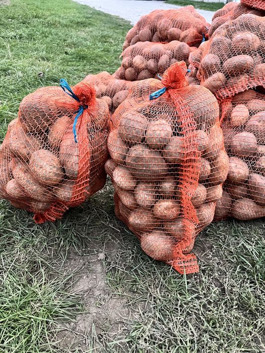 Ziemniaki Jurek worki 15kg