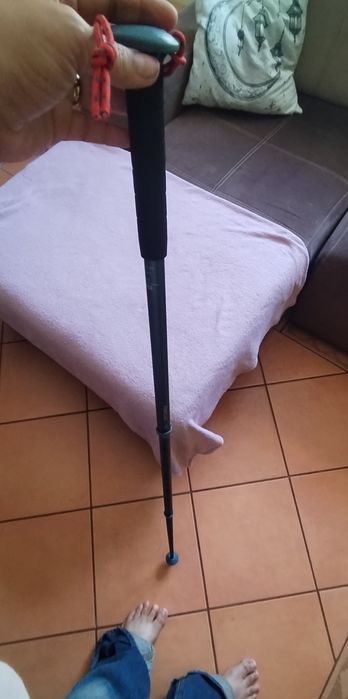 Bastão de Caminhada / Trekking Quechua (Decathlon) – 3 Secções -  Quinta do Conde