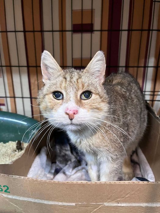 Chciały go zagryźć psy :( Czy Rusinek zasługuje na życie? :(