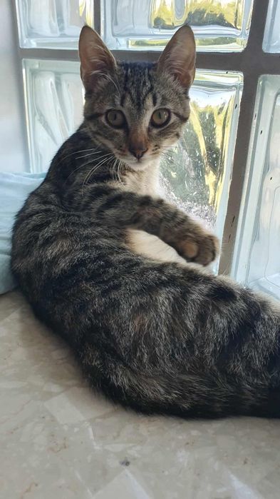 Piekna Szprotka szuka domku