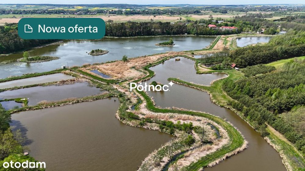 Staw rybny 2,74 ha – Małochwiej Duży