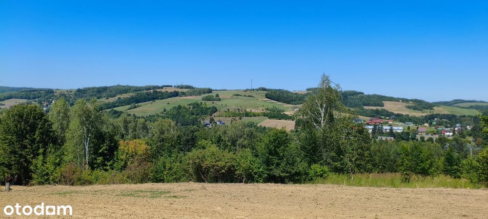 Działka budowlana 57,85 ar, Nozdrzec, panoramiczny widok, przy lesie