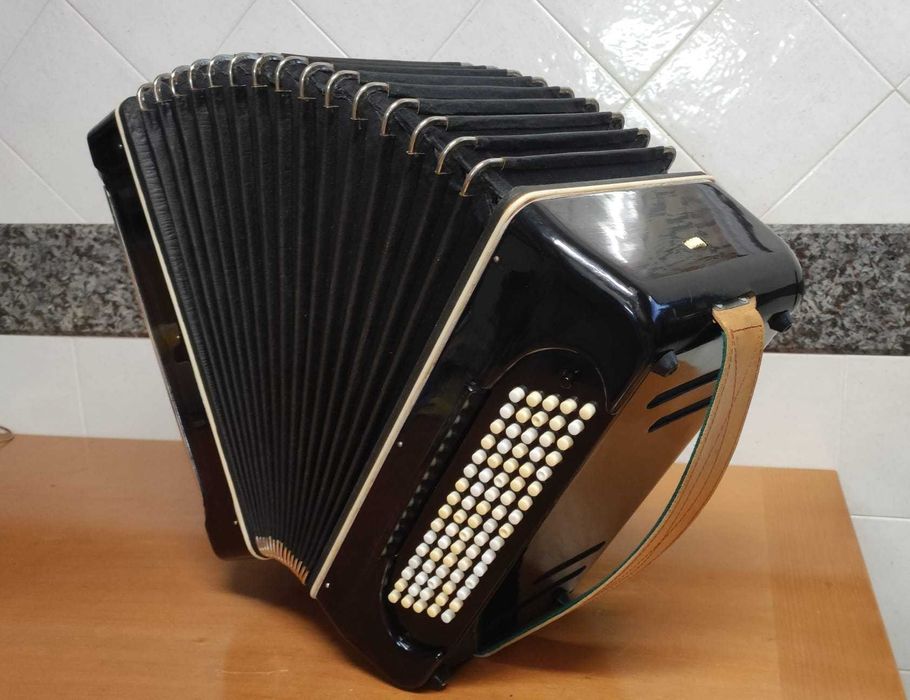 Acordeão com Convertor - Acordeon Accordion