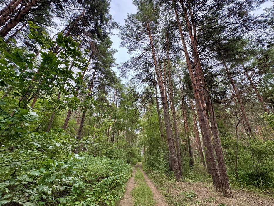 Продаж ділянки від 40 соток до 10Га. с. Ясногородка Киівська область