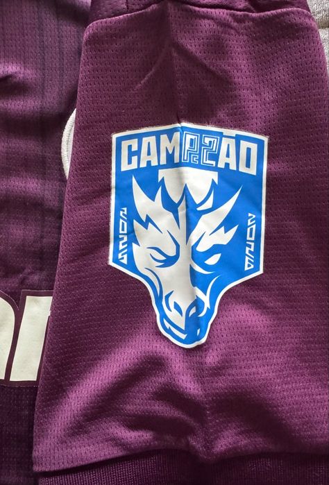 Camisola FC Porto 2 equipamento