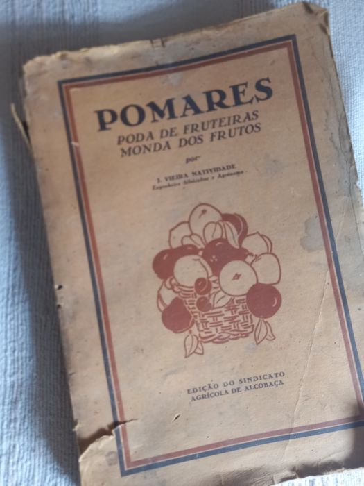 Orchards: Pruning Fruit Trees and Fruit Thinning by Vieira Natividade64285477063682120