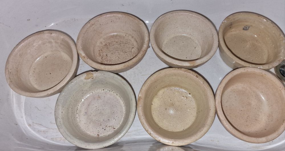 Comedouros e Bebedouros para pássaros.