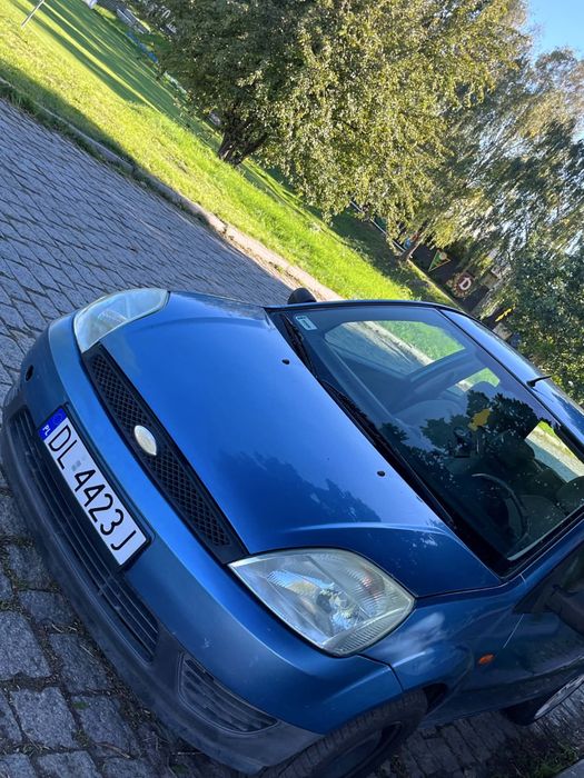 Ford Pozostałe Ford