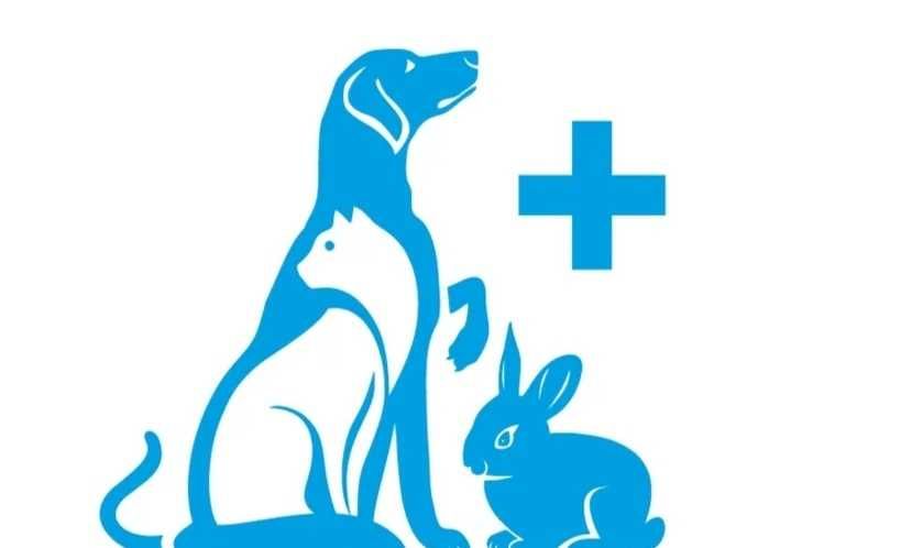 У ветеринарну клініку запрошуються асистенти/лікарі