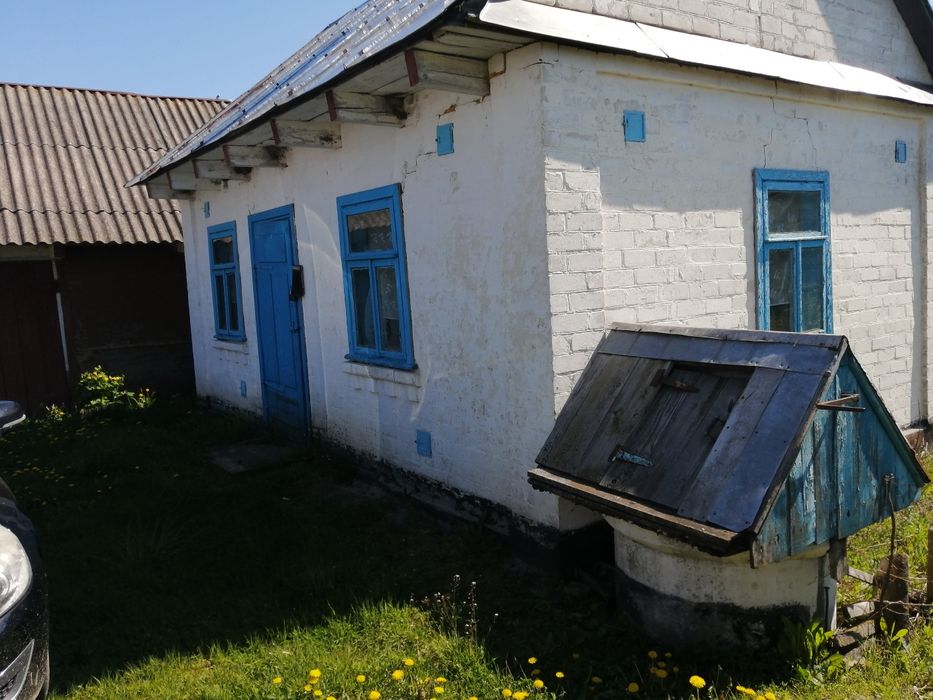 будинок в селі біля лісу