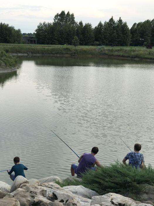 Дом в лесу на озере с камином под Киевом. Всегда есть свет и интернет.