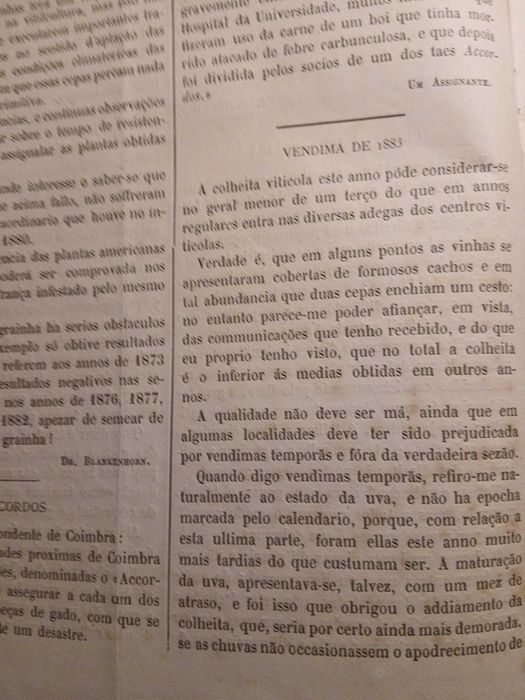 Gazeta dos Lavradores, Outubro de 1883