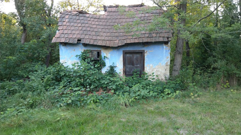 Затишна земельна ділянка під будівництво