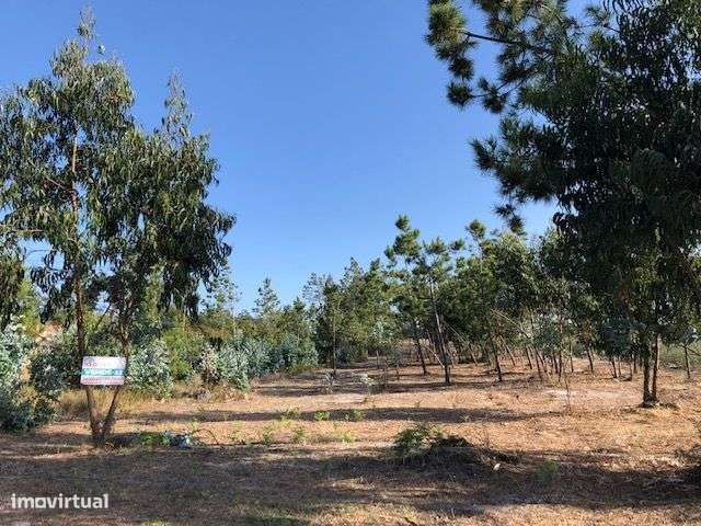 Terreno Vieira / Leiria