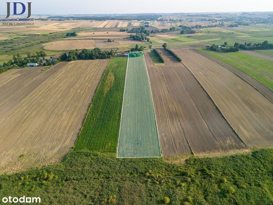Działki O Łącznej Powierzchni  2,587 Ha - Bokinia