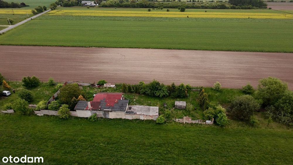 Zdjęcie 5