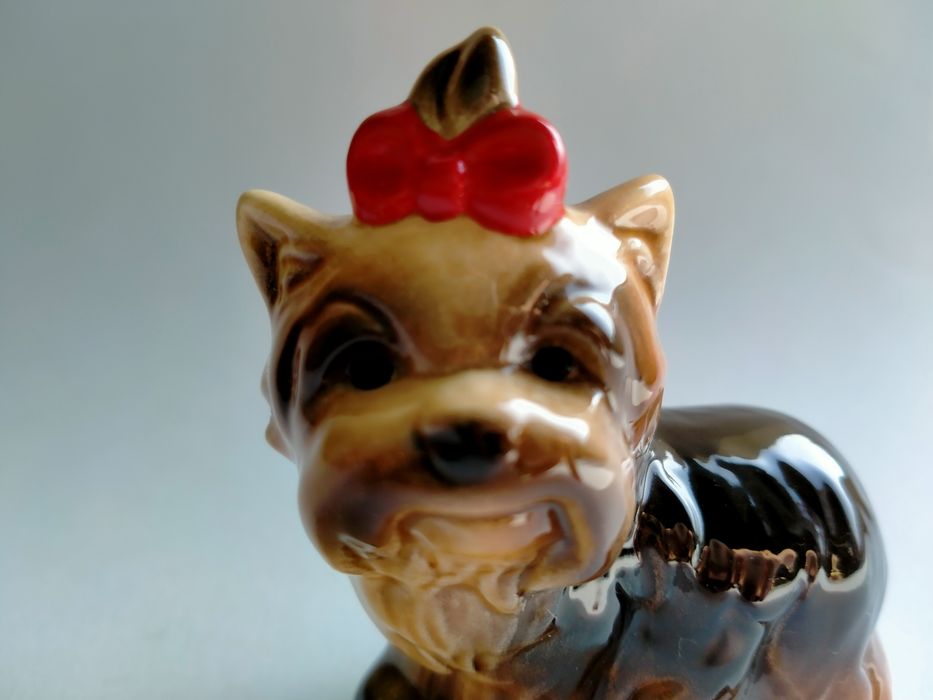 Yorkshire Terrier Goebel