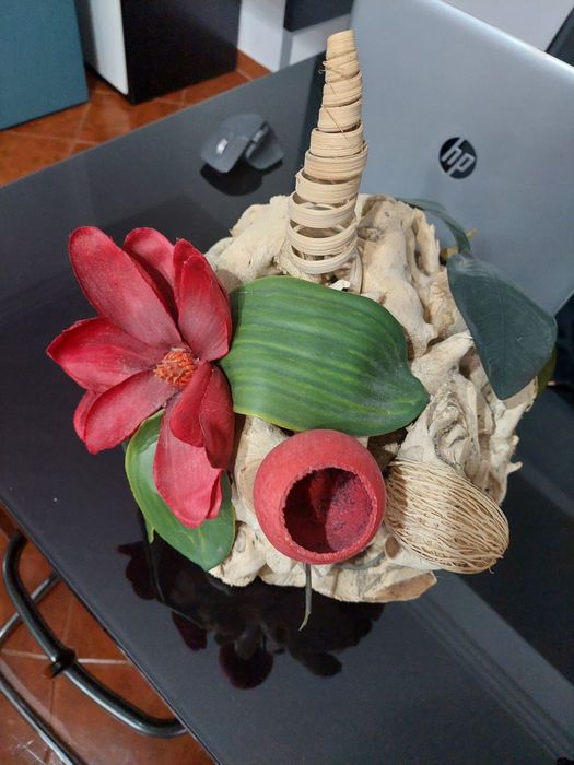 Arranjo e traça de troncos