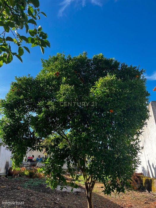 Casa para Recuperar em Mouriscas, Abrantes