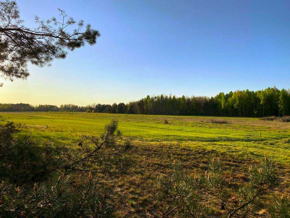 Działka rekreacyjno-budowlana, 1000 m2, Puszcza Stromiecka