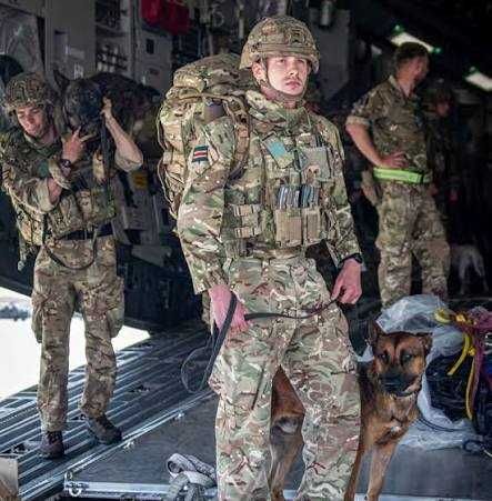 Calças militares camufladas MTP multicam MK1 do Exército Britânico