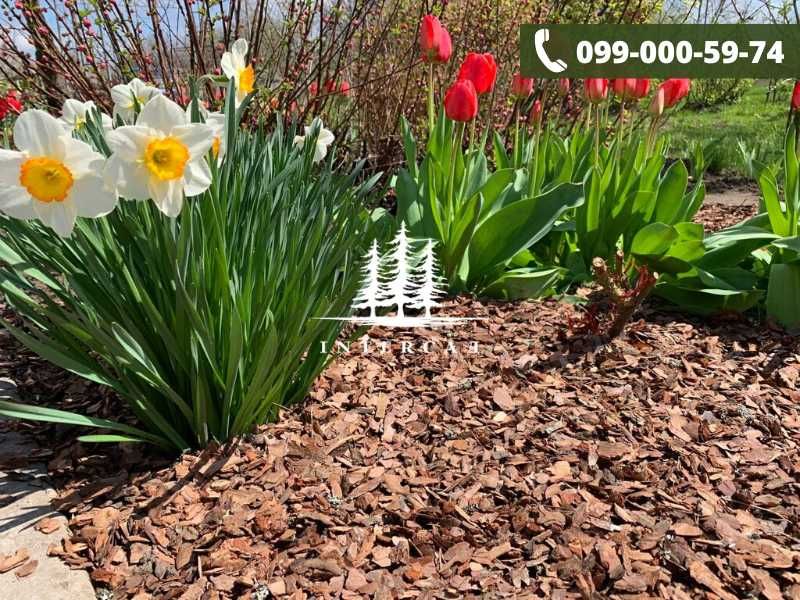 Комплект 2 МЕШКА коры "МЕЛКОЙ" фракции 1-3 см, ОЛХ доставка!