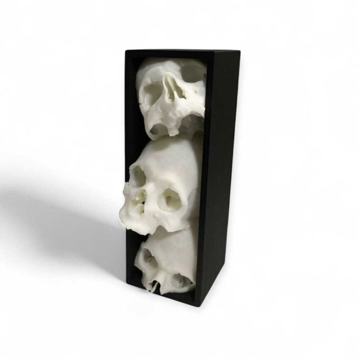 Book Nook Czaszki Zakładka do Książek Regał Gotyk Druk 3D