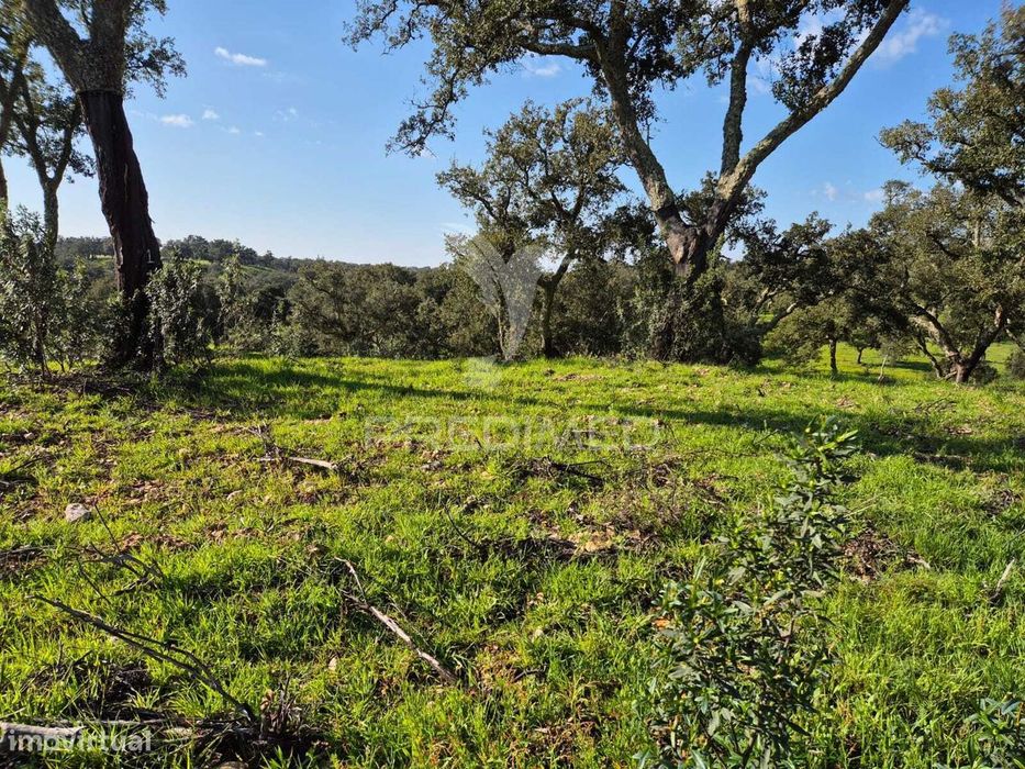 Terreno rústico no Alentejo – natureza, tranquilidade e potencial d...