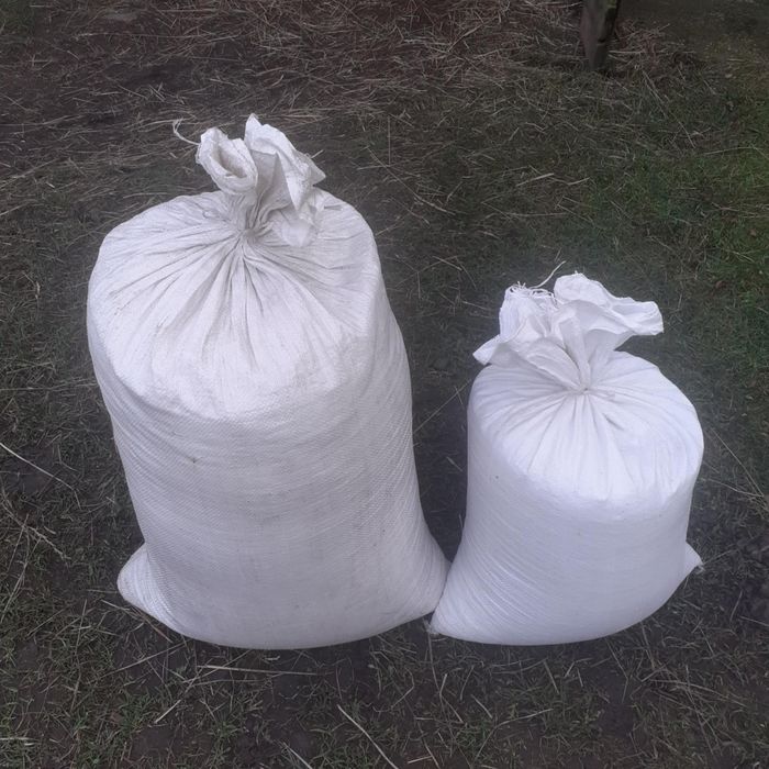 Pszenica ozima 2025 – sucha, grube ziarno  | Turzno