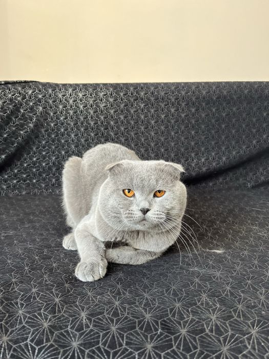 Запрошуємо на вʼязку