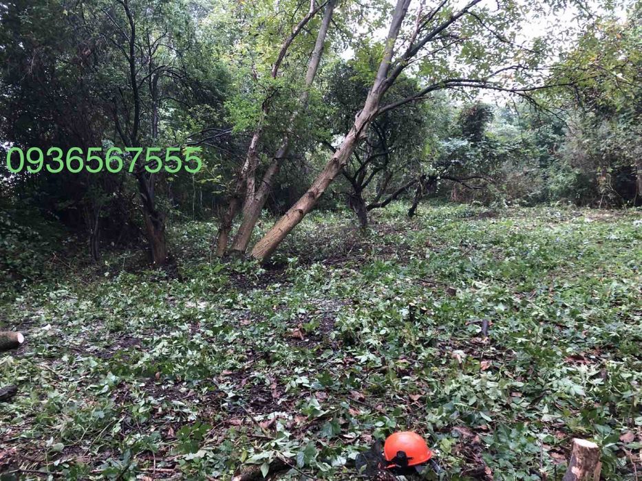 Чистка ділянок, зрізання дерев, очищення території, обрізка саду