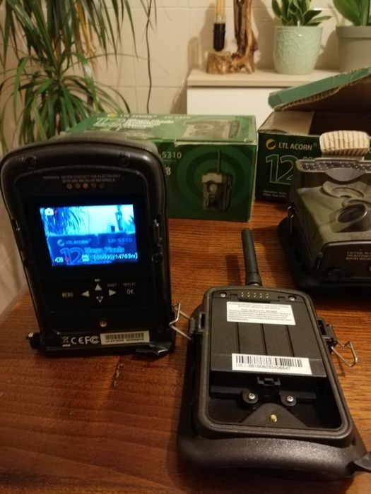 Câmera vigilância caça