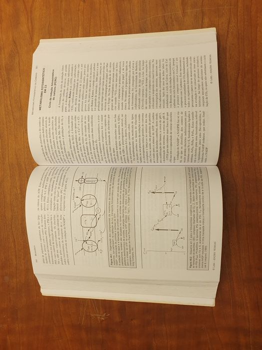 Bioquímica de Manuel Judice Halpern