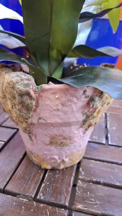 Planta Artificial Bromélia com Vaso Rústico Terracota/Musgo