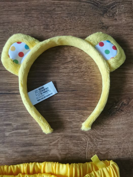 Strój karnawałowy, kostium misia