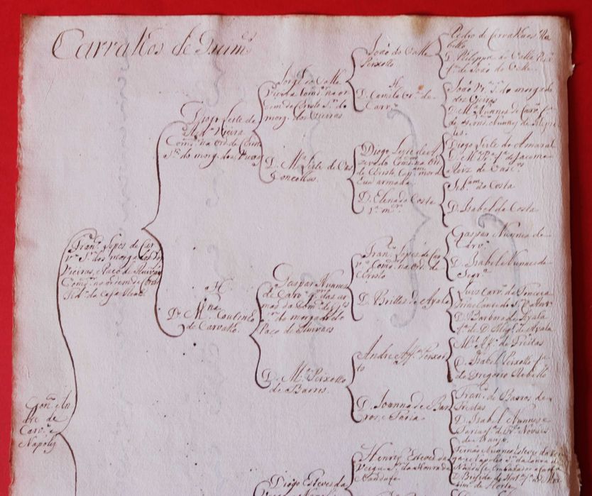 Albuquerques de Penalva // Carvalhos de Guimarães 2 árvores costados