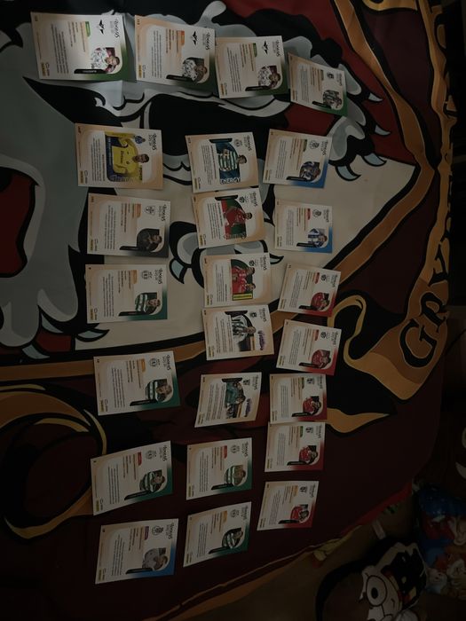 Vendo caratas idolos panino