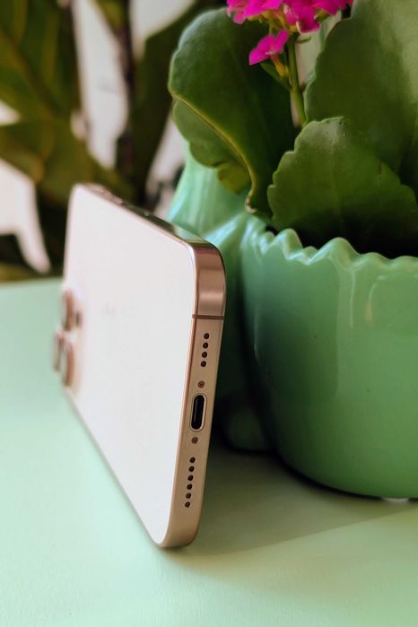 iPhone 16 Pro Max 256GB Titânio Deserto + AppleCare+ (2026) + Garantia Worten (2029) + 12 Capas